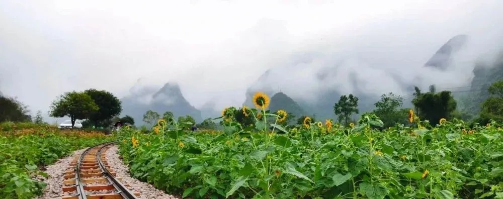 花海小火车