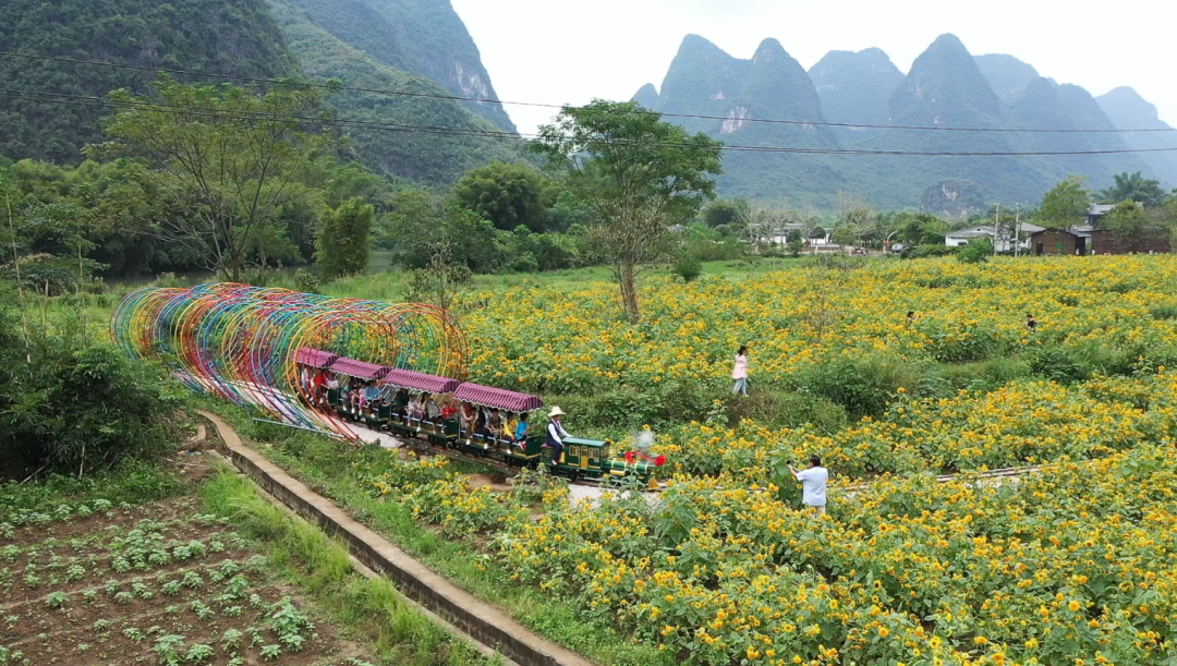 遇龙河25座网红小火车