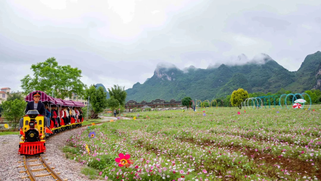 网红花海小火车