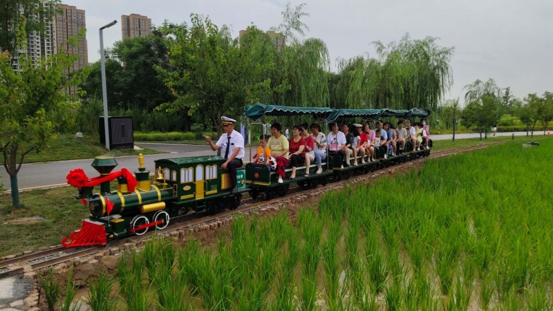 衡阳长安公园25座网红小火车