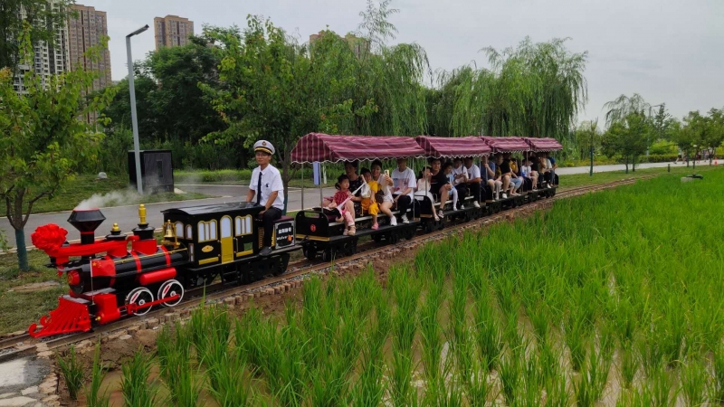 衡阳长安公园20座网红小火车
