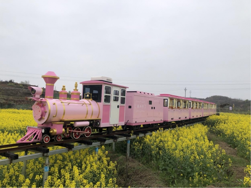 惠州60座轨道观光小火车（粉色）
